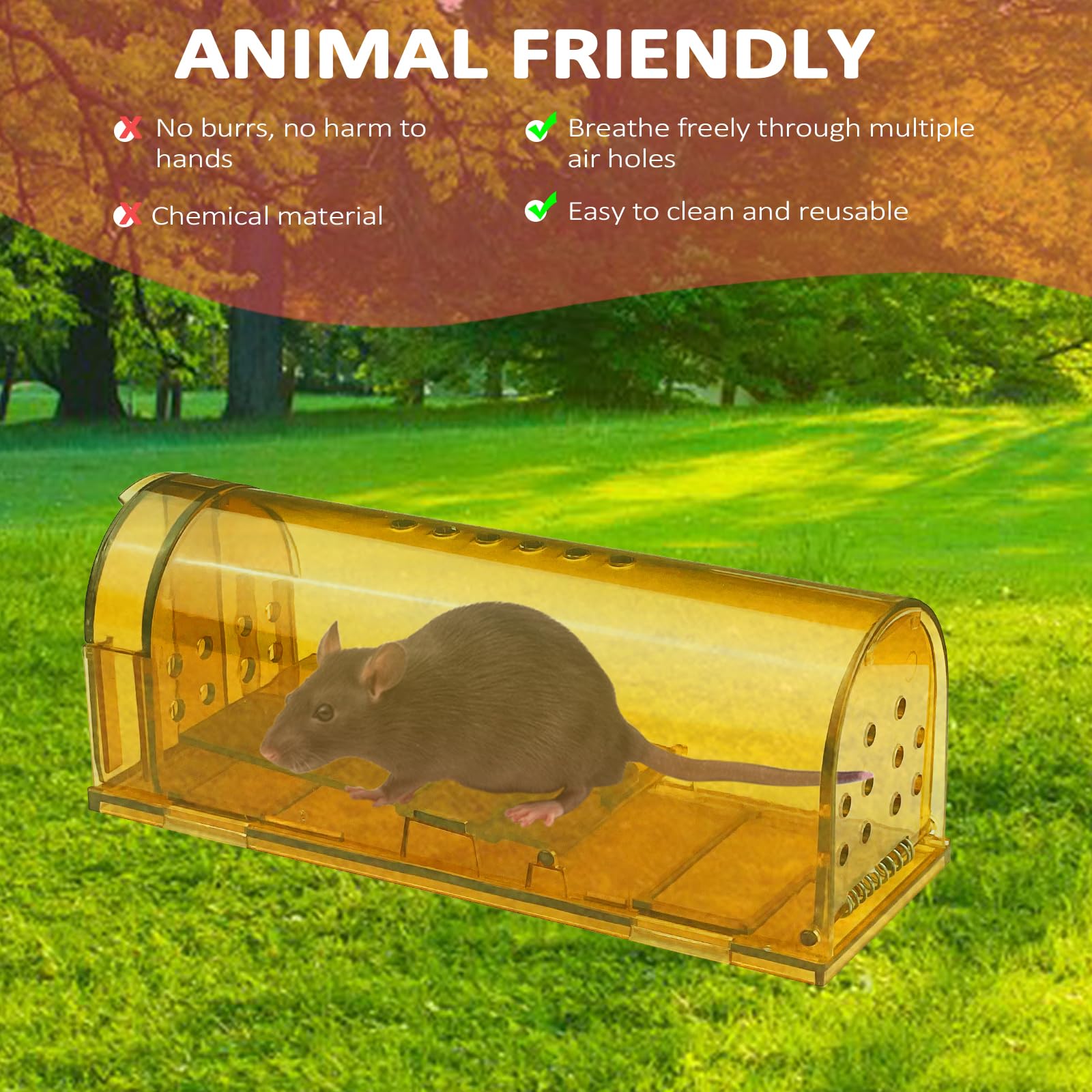 Piège à Souris Vivant, 4 Pièces Piège à Rat Pour Intérieur Et