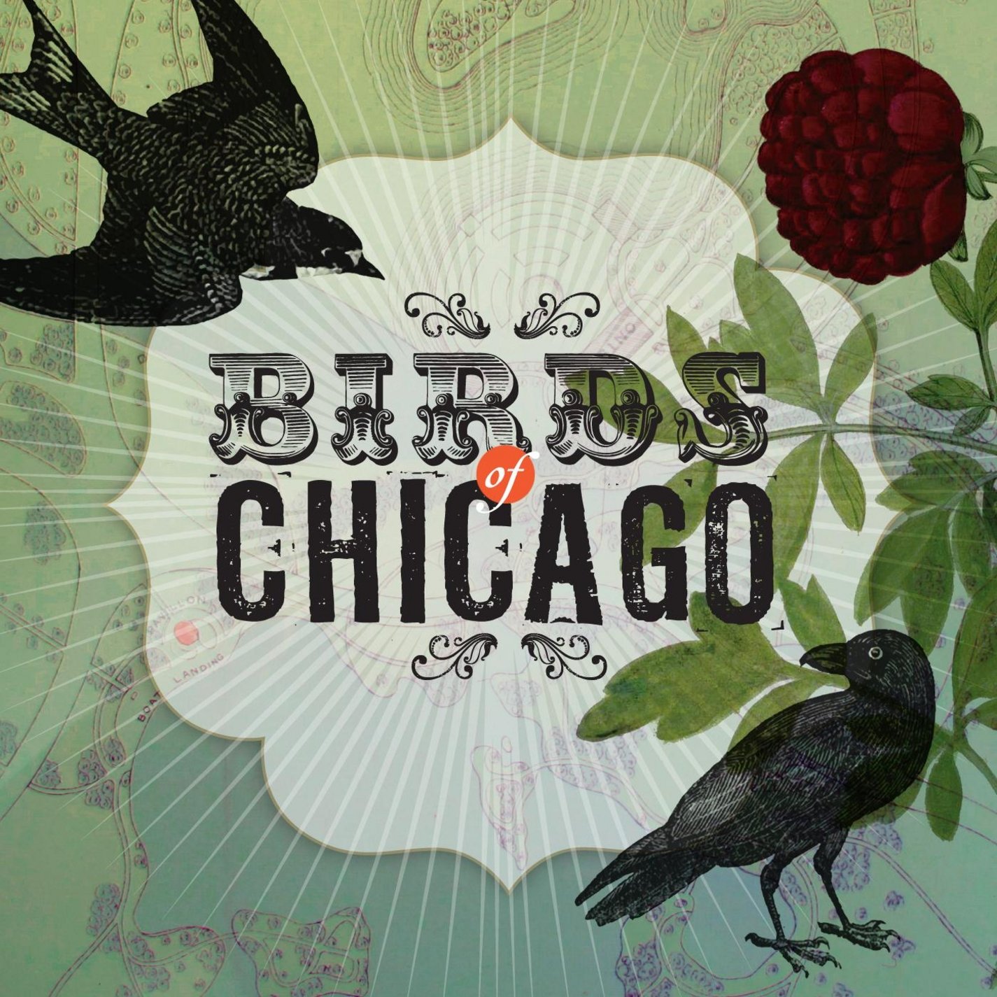 Birds of Chicago [Audio CD]
