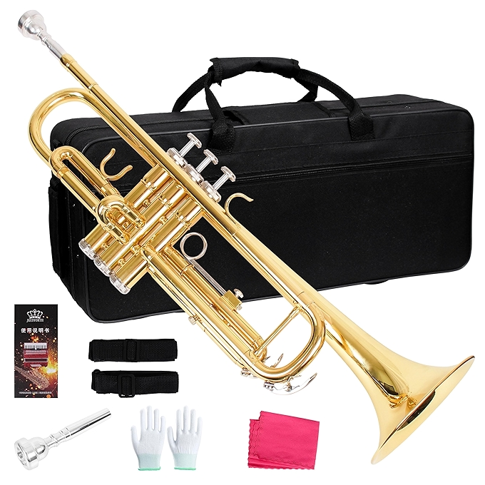 LOMUTY 标准 Bb 小号管乐器 适合学校乐队及交响乐团附送优质硬壳箱 适合初学者的铜管乐器 圣诞生日礼物
