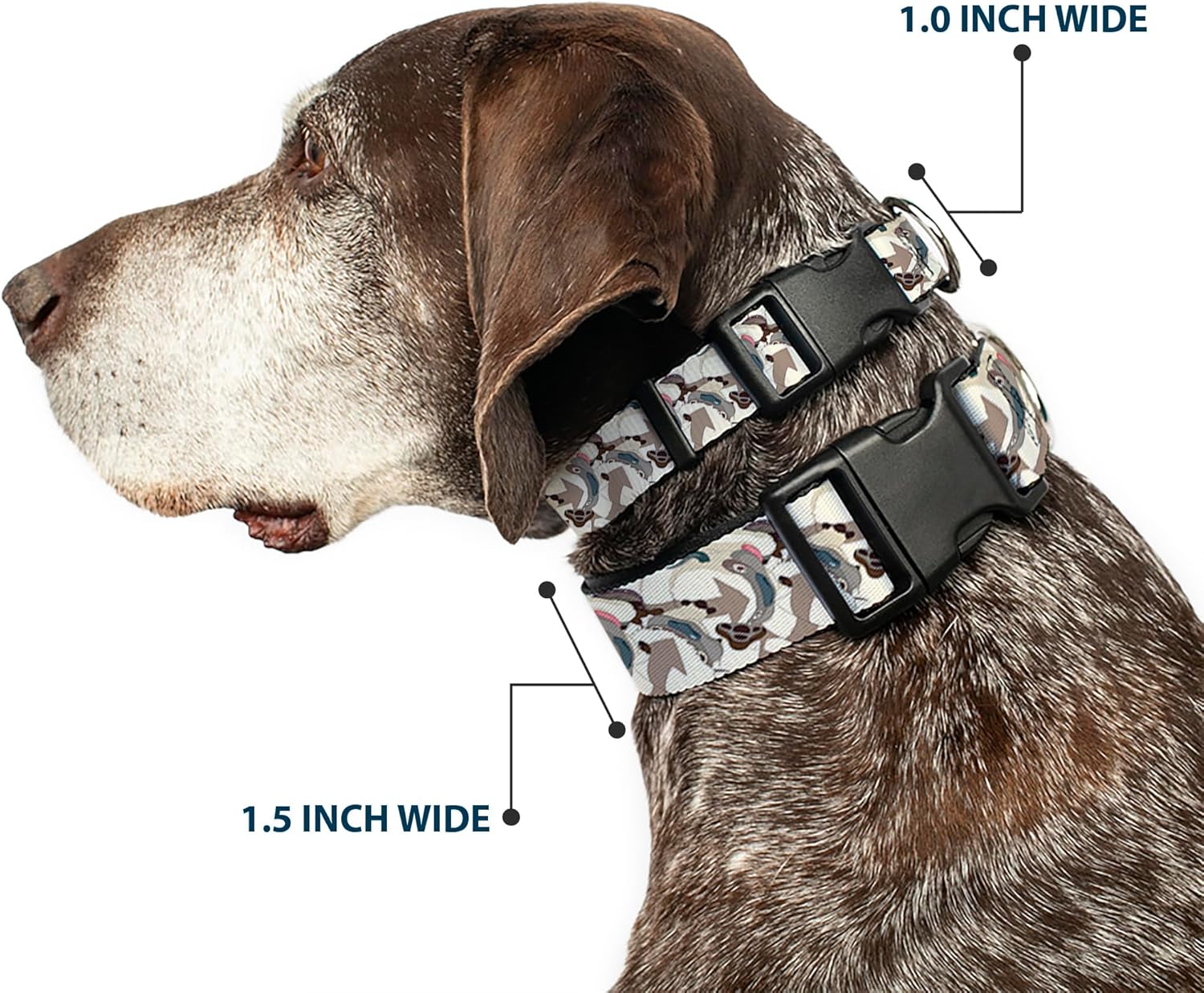 Buckle-Down Dog Collar Plastic Clip Avatar The Last Airbender Appa Pose Stacked 13 to 17 Inches 1.5 Inch Wide