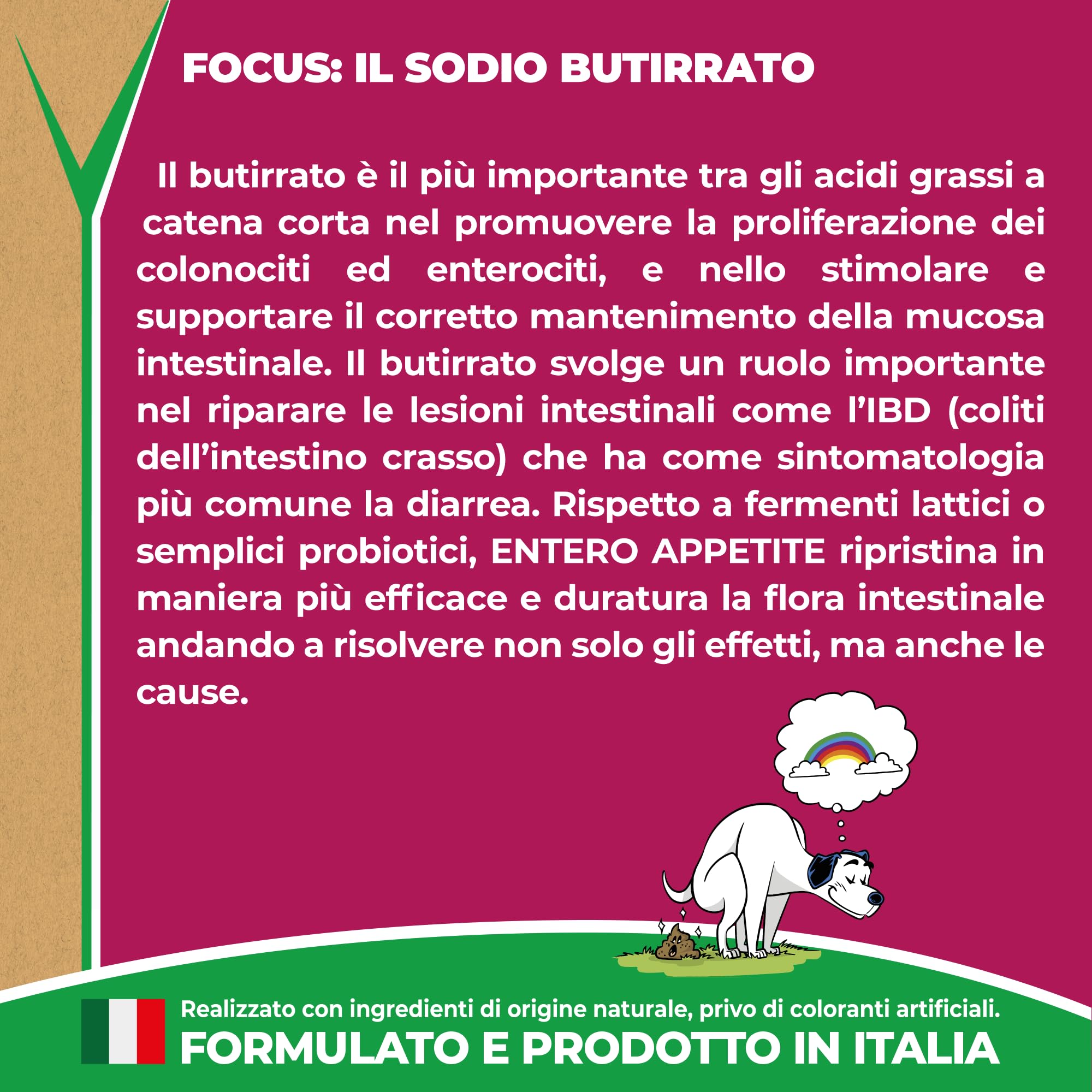 EVVIVA Entero Appetite | Probiotici per Cani a base di Sodio Butirrato per l’Equilibrio della Flora Batterica e il Benessere Intestinale, Integratore per cani efficace soluzione per la Diarrea Cane