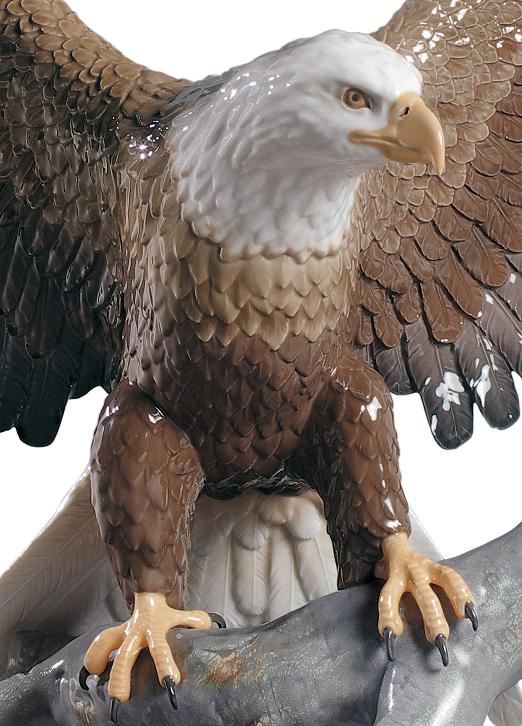 Amazon.com: LLADRÓ Freedom Eagle Sculpture. Porcelain Eagle