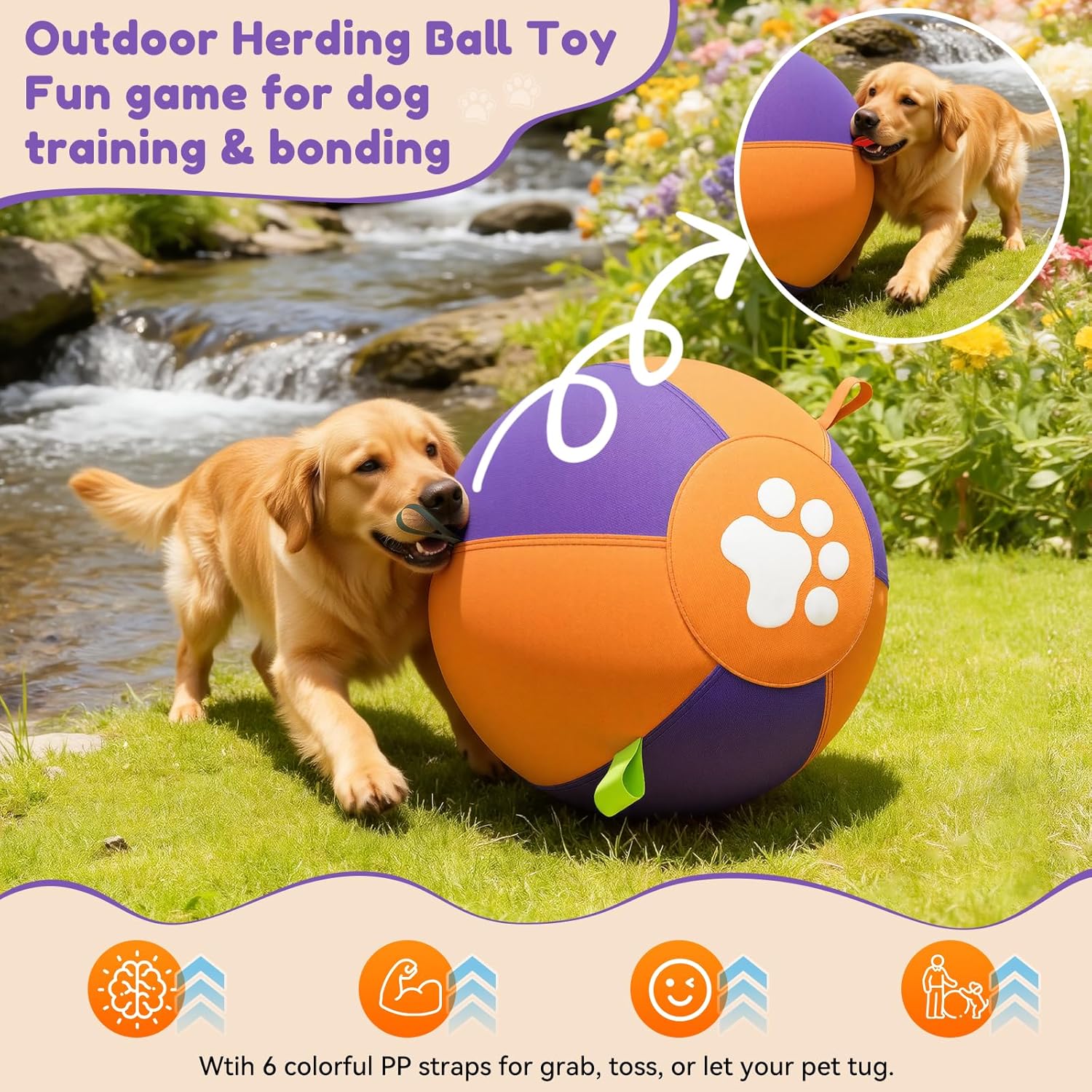 Pet Deluxe 25" Herding Ball for Large Dogs - Durable Interactive Herding Toy with Fast 2.5-Min Pump & Carry Handles, for Australian Shepherd, Border Collie, Outdoor Training & Backyard Play