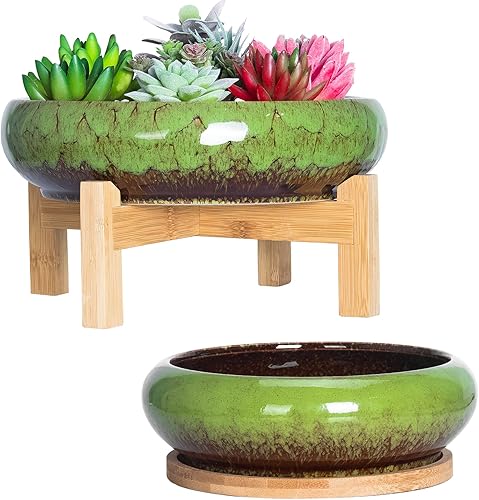 ARTKETTY Macetas para suculentas, macetas grandes para suculentas con bandejas de bambú de drenaje, macetas coloridas para bonsái con soporte, juego