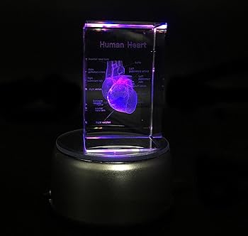 Glass Heart PREMIERE SCREENING グッズ BOX520_600x.jpg?v=1754514384