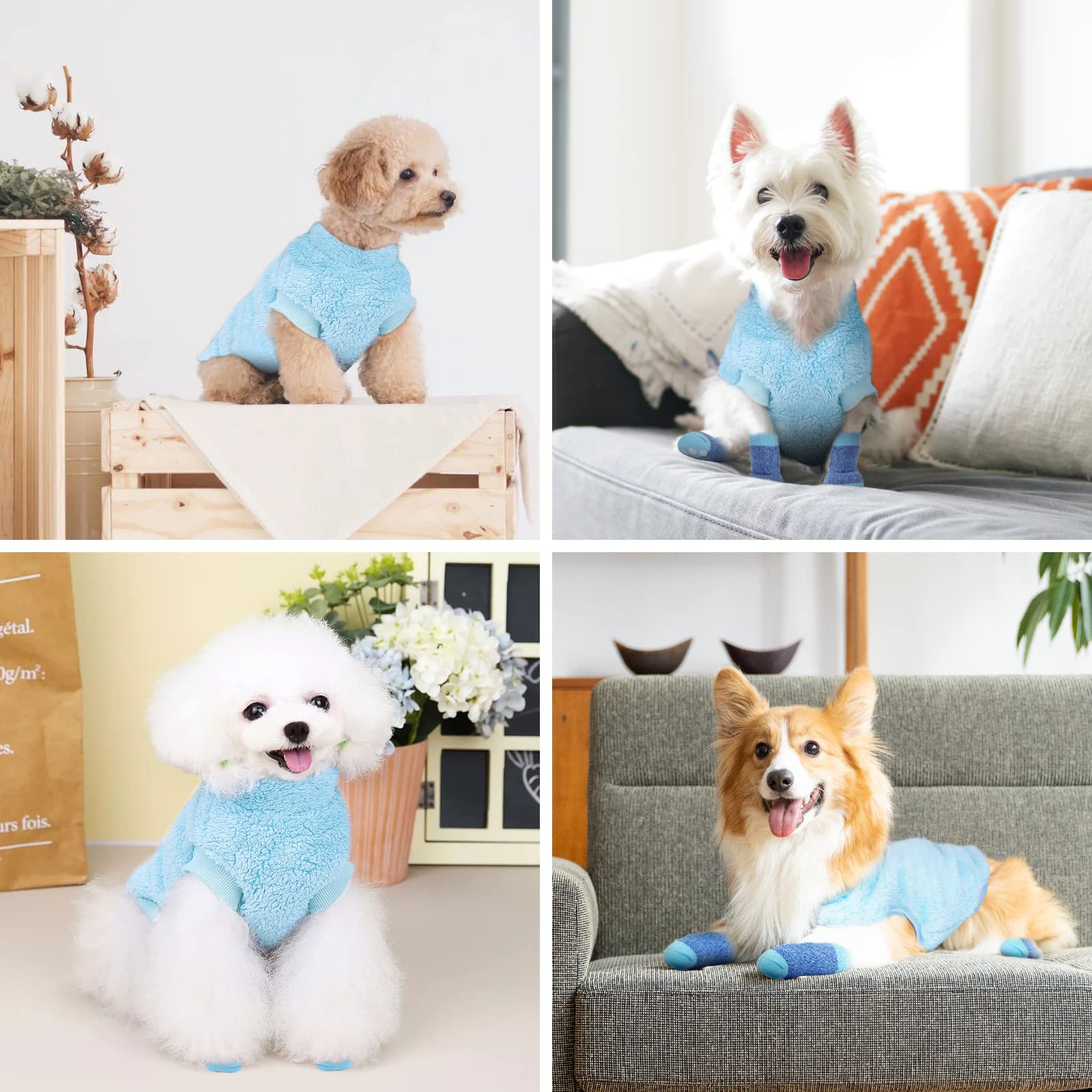 Pull Chien, Vêtement Chihuahua Avec 4 Pcs Chaussette, Veste en Velours Super Doux et épais, Hiver Chaud Pour Petit et Moyen Chien Chat (Bleu XL)
