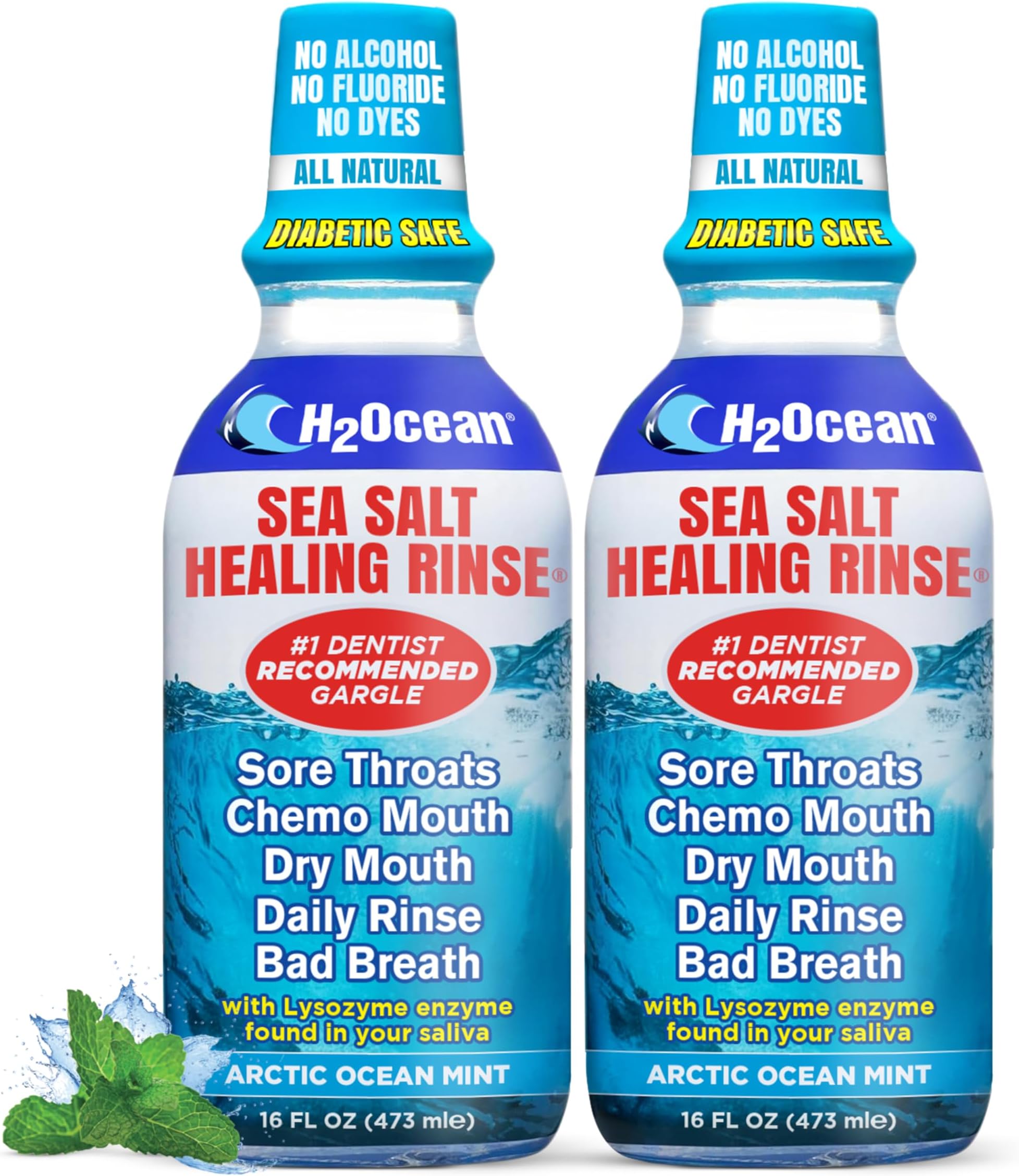 2 Pack H2Ocean Healing Rinse Mouthwash- Great Tasting Sea Salt & Xylitol Mouth Wash for Fresh Breath & Dry Mouth - Alcohol & Fluoride Free - Arctic Ocean Mint 16oz