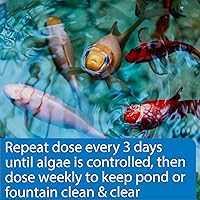Vista 5 de API POND ALGAEFIX Algae Control 1-Gallon Bottle