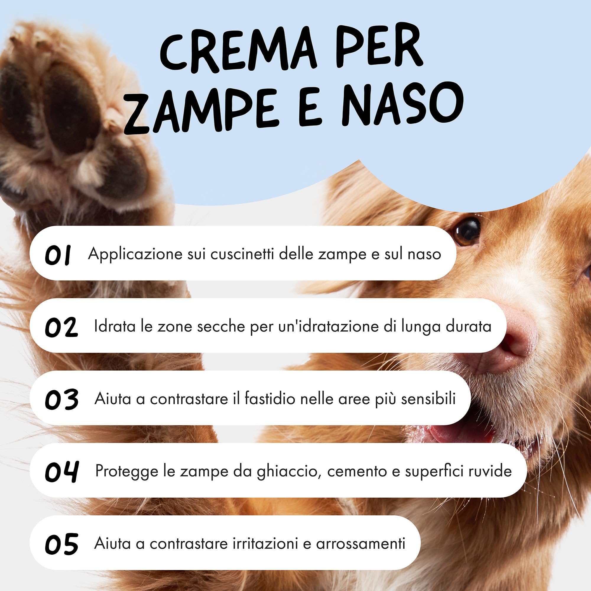 Belly® Crema Polpastrelli Cane, 50g – Anti Ghiaccio, Sale, Freddo – 100% Naturale Burro Karitè, Arnica, Aloe Vera – Idrata & Ripara – Polpastrelli Screpolati e Tartufi Secchi
