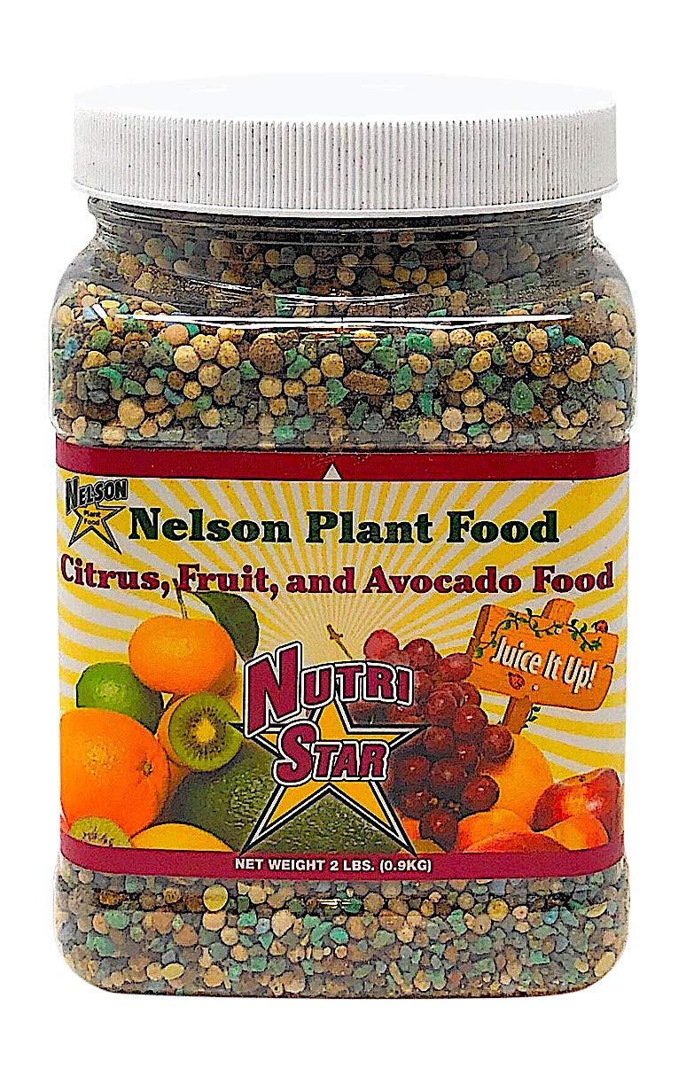 Buy Nelson Citrus Fruit and Avocado Tree Food In Ground Container Patio