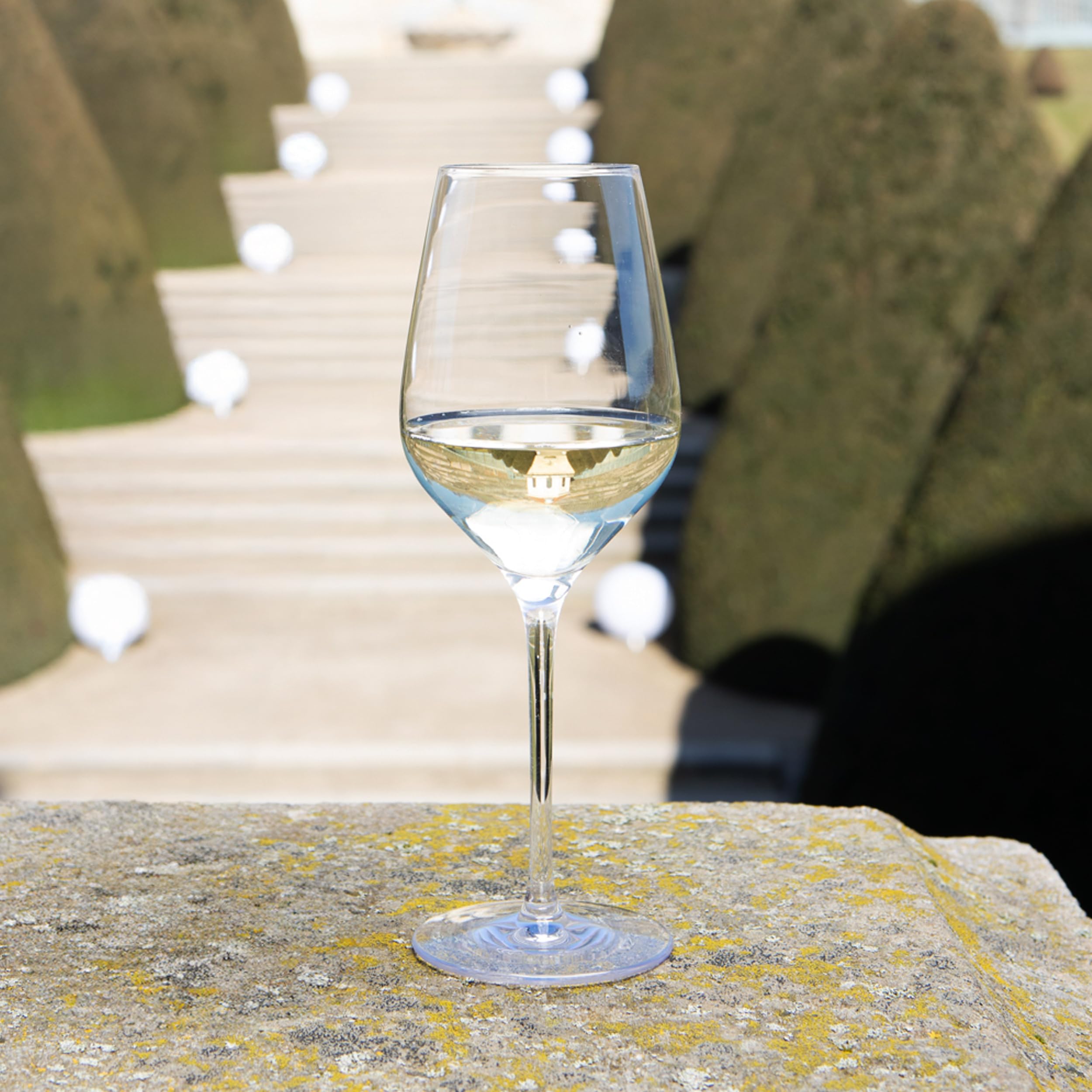 Stölzle Lausitz Verres à Vin Blanc Exquisit Royal 6-Pièces 350 ml – Verres Élégants en Cristal pour Vin Rouge Léger & Rosé – Résistants au Lave-Vaisselle