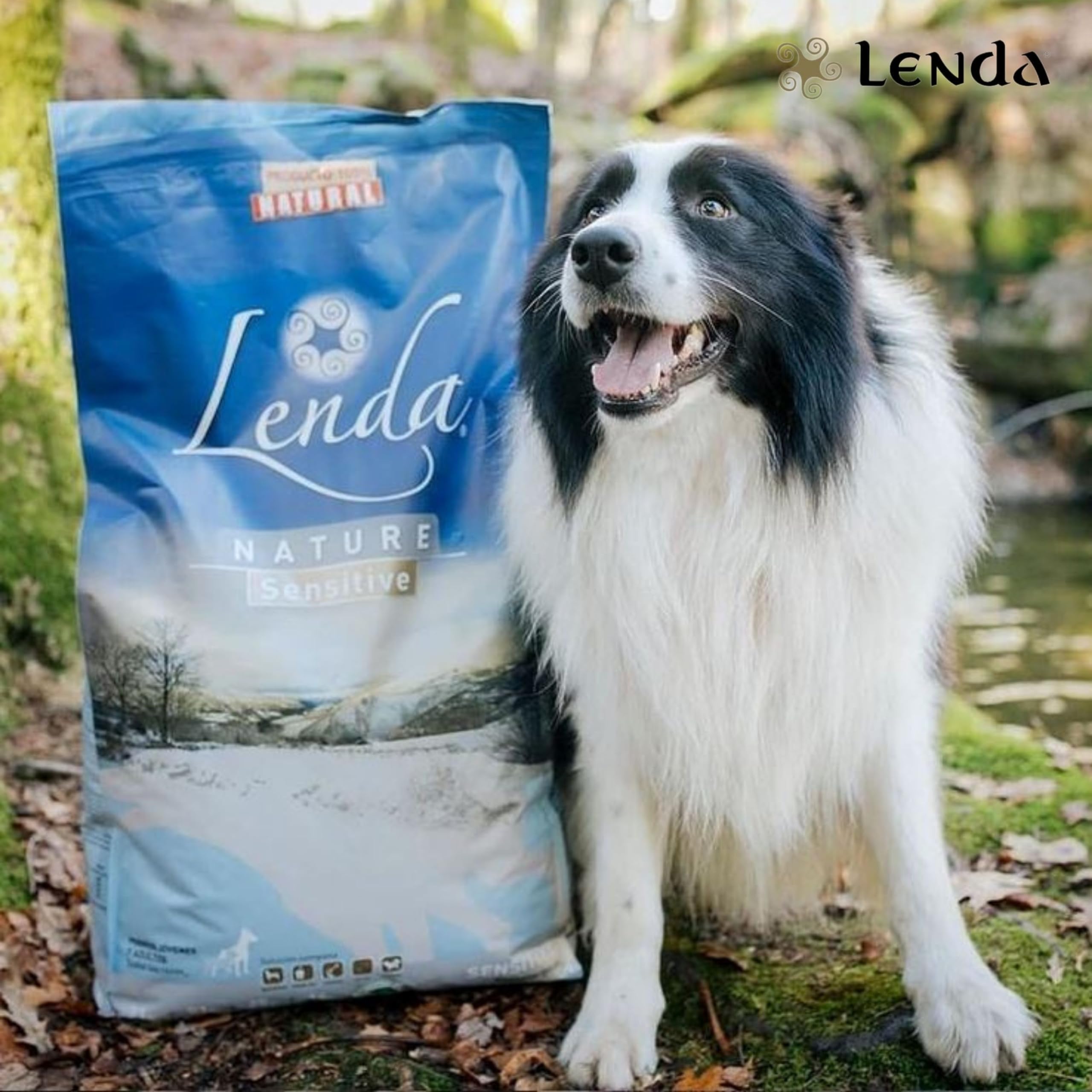 Lenda Sensitive 12Kg - Pienso Hipoalergénico para Perros Jóvenes y Adultos con Alergias Severas o Intolerancias | Pienso Gastrointestinal con Pescado Blanco | Comida Perros Natural y SIN Cereales