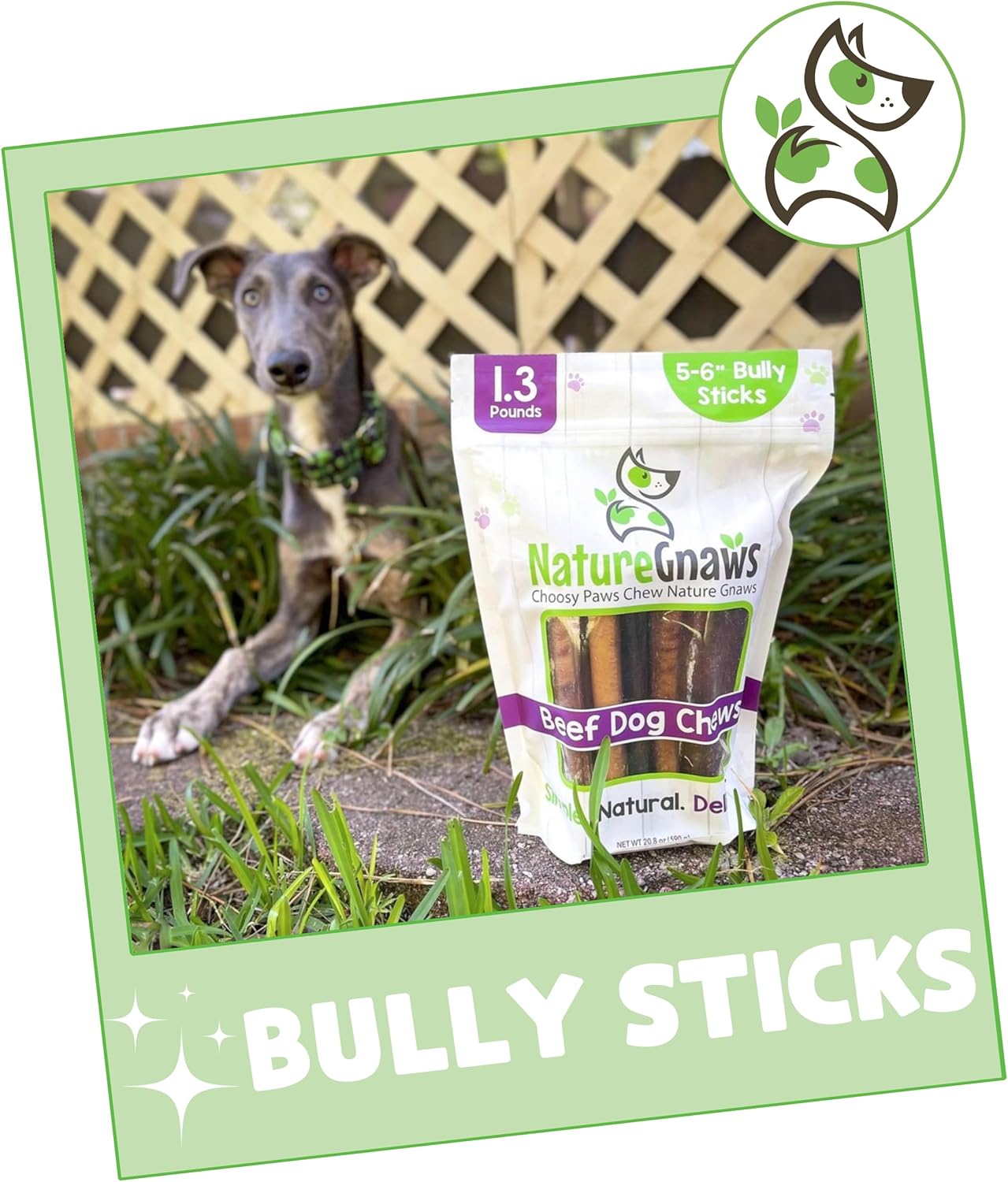 Nature Gnaws Bully Sticks for Dogs (1.3Lb)- Premium Natural Beef Dental Bones - Long Lasting Dog Chew Treats for Aggressive Chewers - Rawhide Free