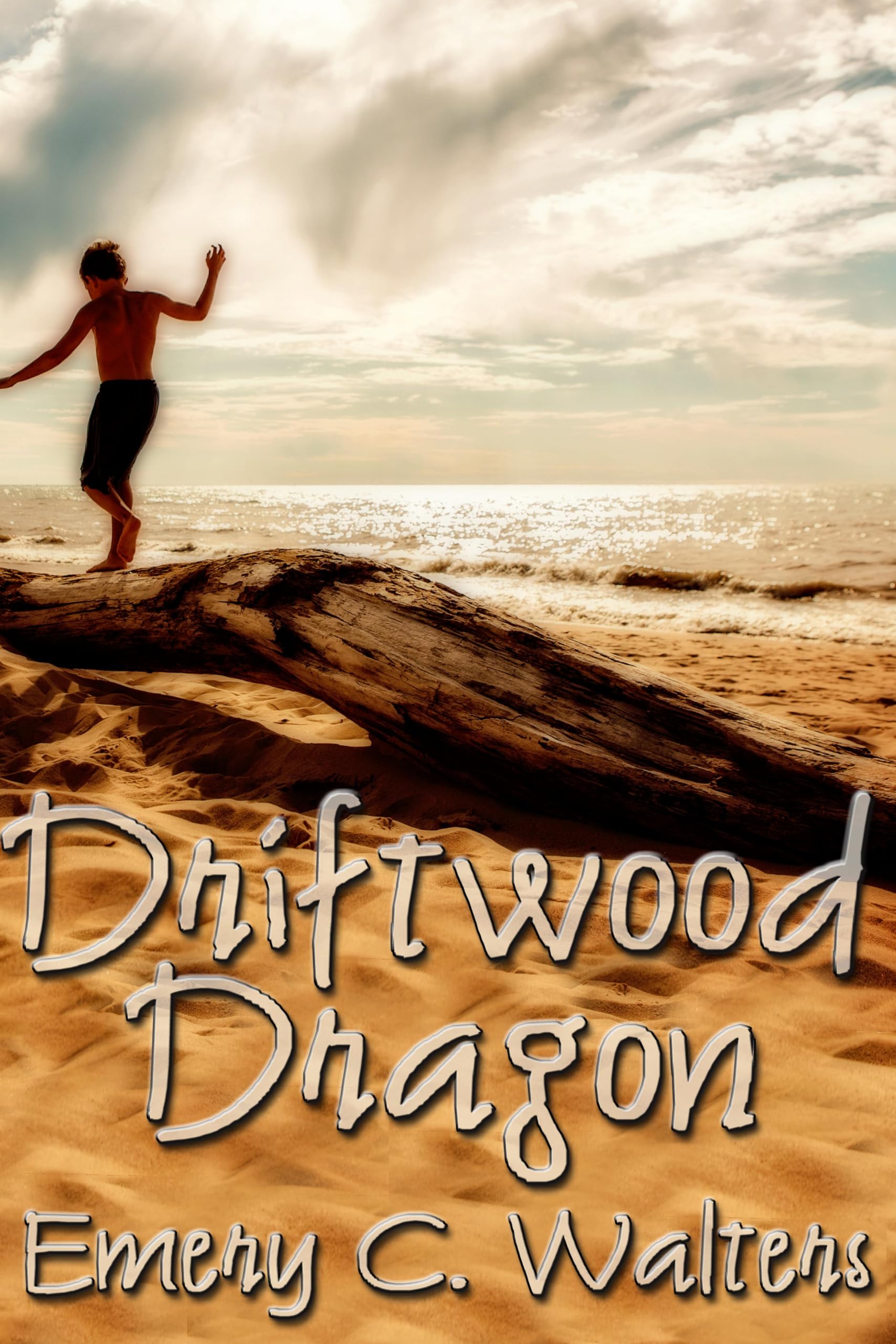 Buy Driftwood Dragon — BookShops.in