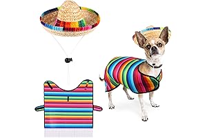 Adorable Mexican Cat Costume