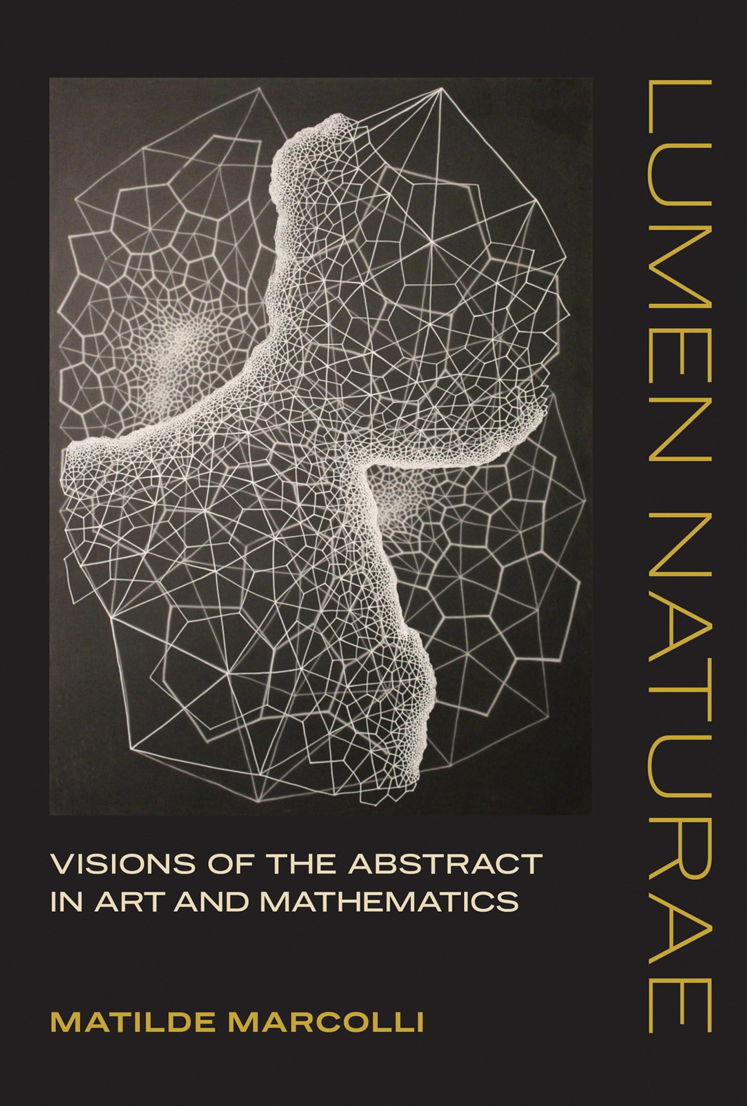 Lumen Naturae: Visions of the Abstract in Art and Mathematics (The MIT Press)