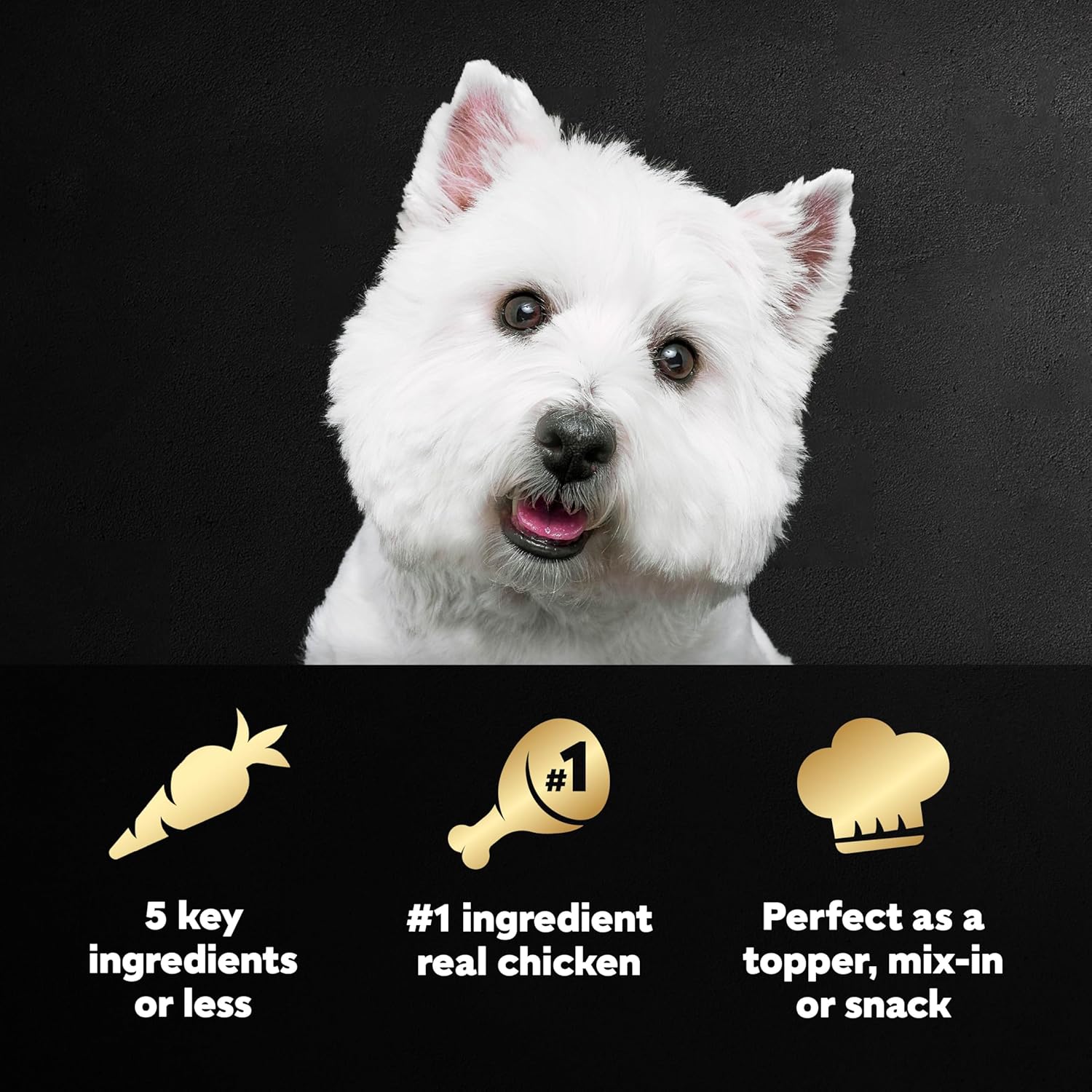 Cesar Simply Crafted Adult Wet Dog Food Toppers for Dry Food, Chicken, Carrots, Barley & Spinach, 1.3 oz Tubs, 10 Count