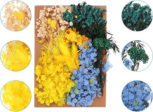 Miniatura 3 de PATIKIL Flores prensadas para manualidades, flores secas a granel, flores prensadas naturales, hojas para resina, jabón, vela, álbumes de recortes,