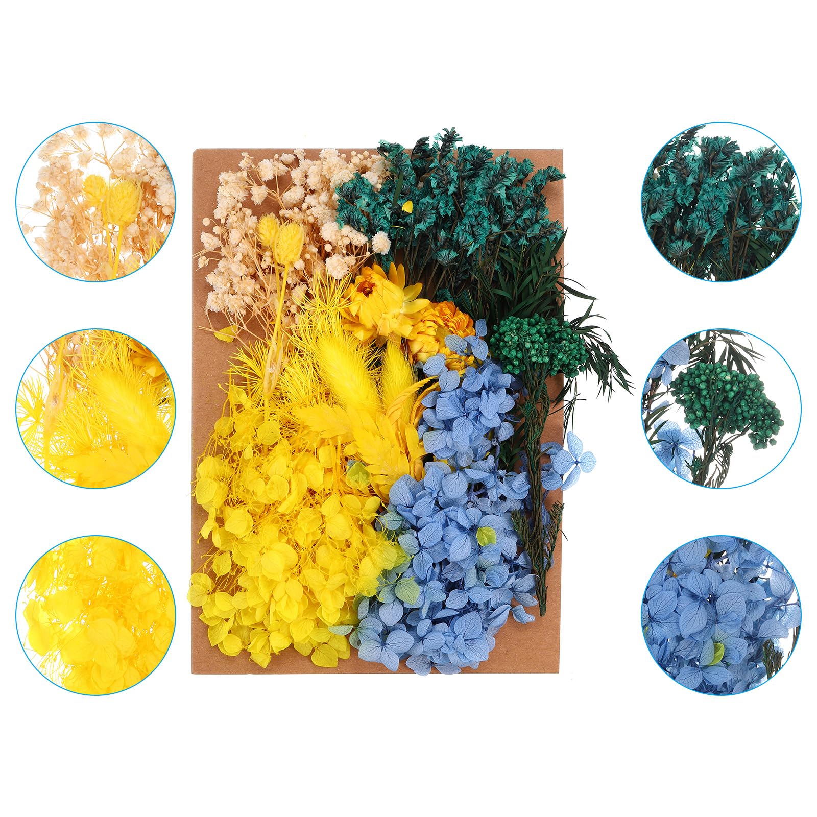 PATIKIL Dried Flowers for Craft Bulk Natural Pressed Flowers Leaves for Resin Soap Candle Scrapbooking DIY Gift Papermaking, Multicolor - Image 3