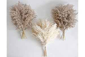 30 PCS Boho Decor, Fluffy Pompass Grass, Natural Dry Pampas Grass Small,...