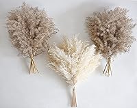 Kocat 30pcs Fluffy Natural Dried Pampas Grass (20 Brown, 10 White) 17 Inch Small Boho Decor for Vases, Rooms & Tables