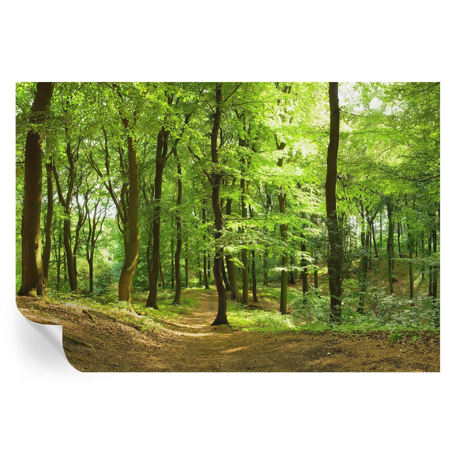 Estampados autoadhesivos de 152x104 cm para decoración práctica de muros