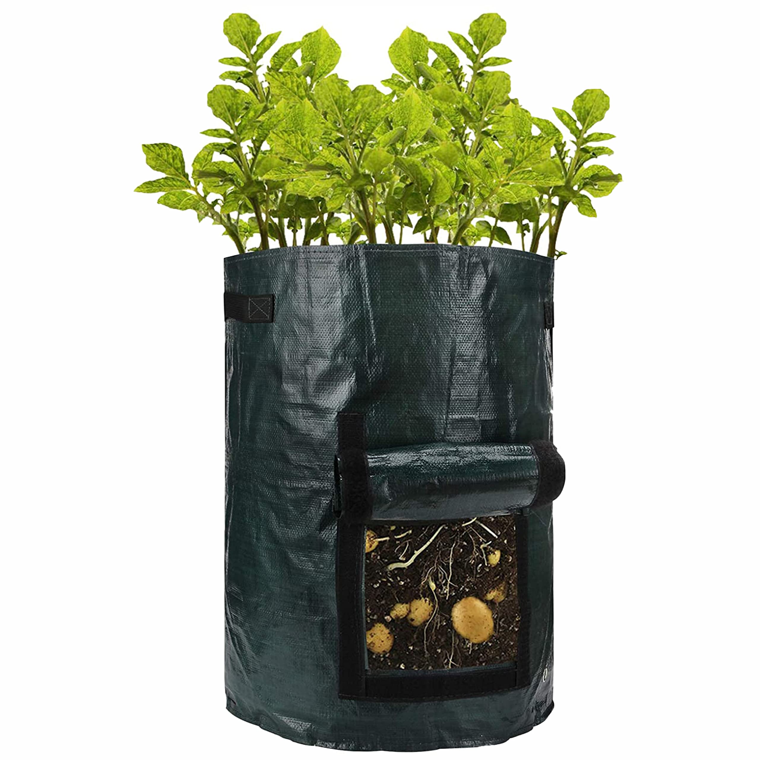 Sul Green 10 Gallon Potato Grow Bag Garden Plant Bags Pots With Window Flap & Handle Grow Bags For Potatoes, Tomato,Carrot Strawberry – 2 Pack