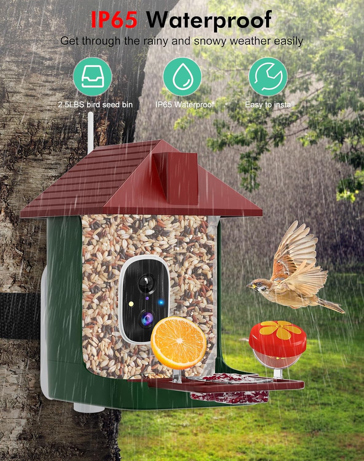 Smart Bird Feeder with Camera,5200mAh Battery with Solar Panel, 4K Native Resolution Live View, AI Species Identification, Auto Capture & Instant Arrival Alert, Ideal Gift for Bird Lovers (Red Green) - Image 9