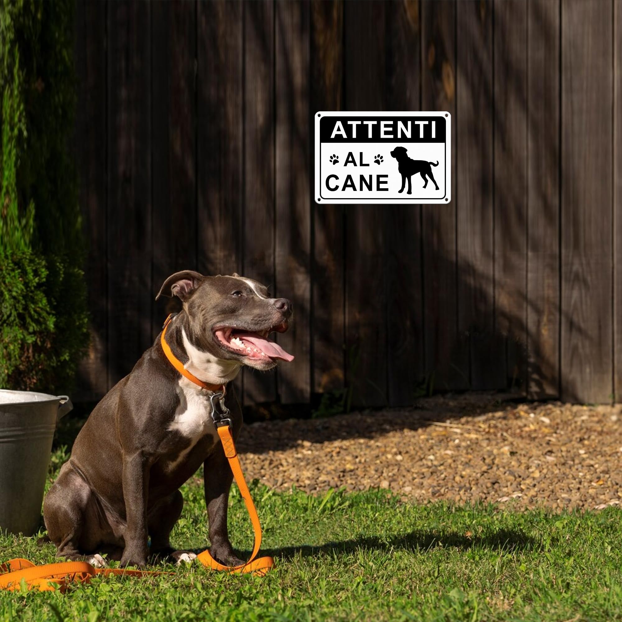TAKULA Cartello Attenti al Cane Professionale 22x15cm - Alluminio Riflettente con Adesivo Forte - Impermeabile e Antigraffio - Ideale per Cancelli e Giardini