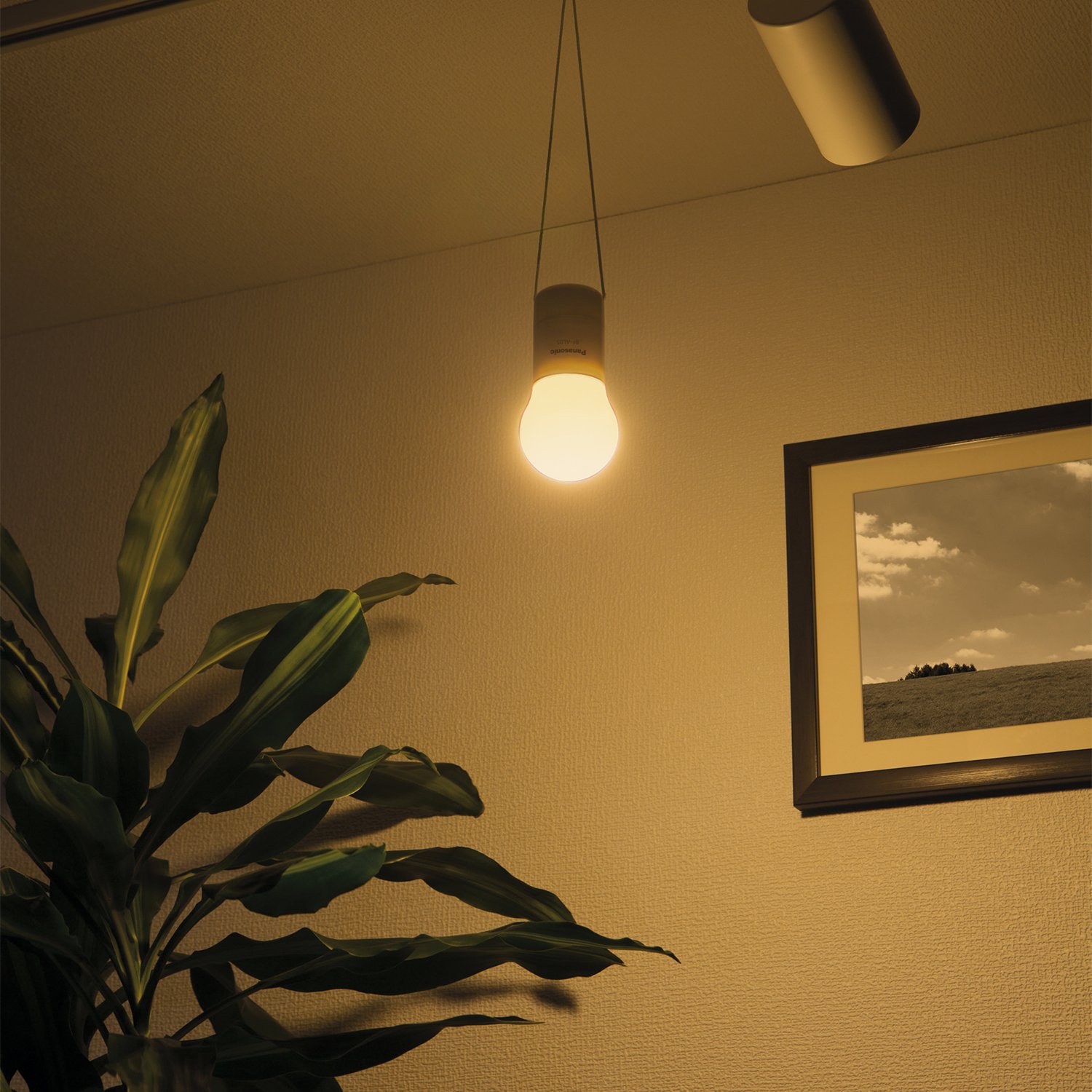 Amazon | パナソニック LEDランタン 乾電池エボルタ付き BF-AL05K-W