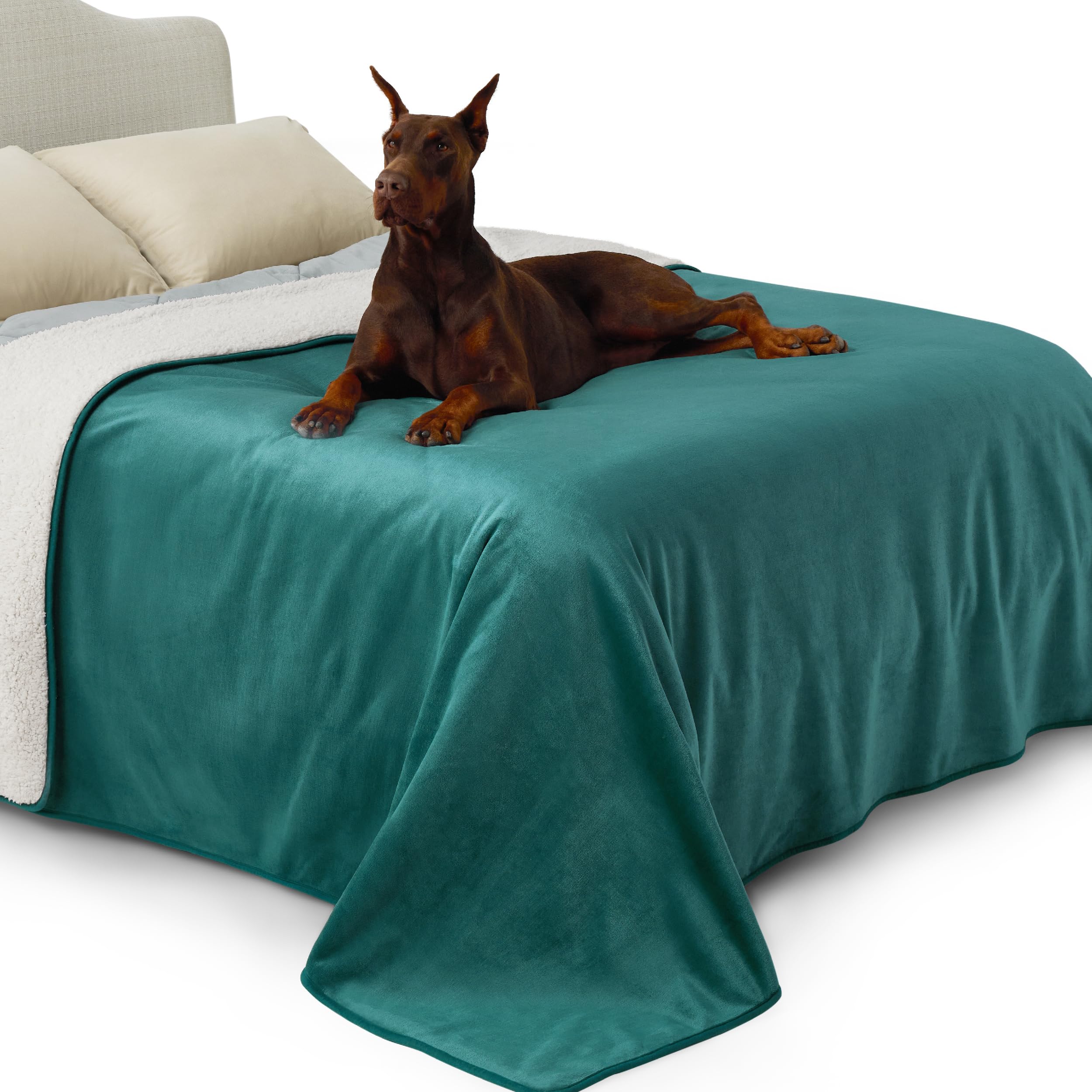 Lesure Coperta Impermeabile per Cani di Taglia Grande - Coperta Lavabile per Cani 274x218 cm, Protezione per Divano in Pile Sherpa, Coperta per Gatti Morbida e Soffice, Verde Scuro