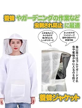 はちぼう ご質問はお気軽に(о´∀`о)　1206030 61dWC6n0ooL.jpg_BO30,255,255,