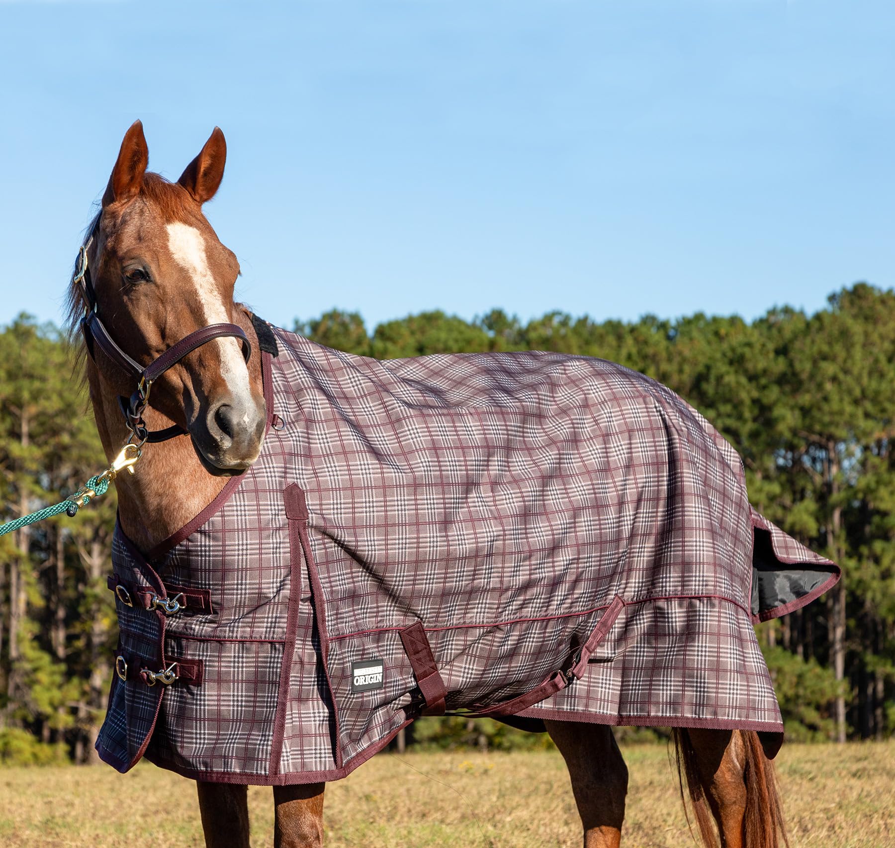 Jeffers Poplar Head Origin 600 Denier Turnout Blanket, 240 Gram, Espresso and Wine Plaid, 81