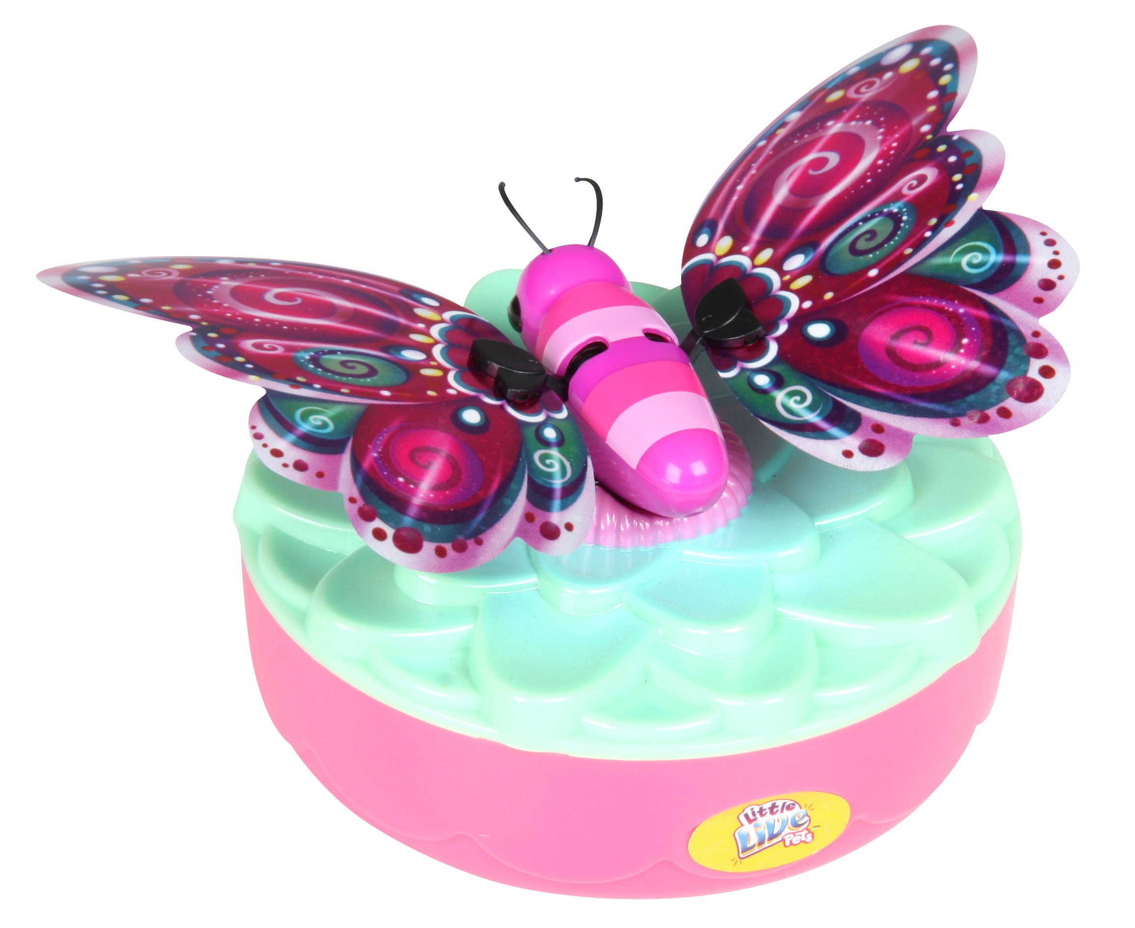 Little Live Pets S3 Butterfly Starter Pack - Candy Swirl : Amazon