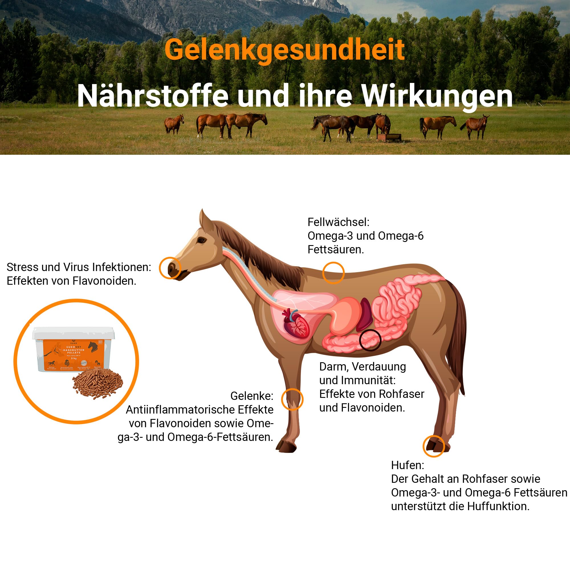 SUKOVet Bio Hagebutten Pellets für Pferde, 3 kg I Natürliche Gelenk- & Immunsystem für Pferde mit Hagebutten I Omega 3 und Omega 6 I Reich an Ballaststoffen I Bio Pferdefutter