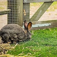 Vista 6 de CAPHAUS Paño de hardware, calibre 23 con tamaño de malla de 1/4 pulgadas, galvanizado en caliente después de la soldadura, cercado de soldadura