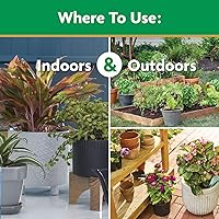 Vista 6 de Miracle-Gro Alimento soluble en agua para plantas multiusos, fertilizante para plantas de interior o exterior, rosas, flores, plantas