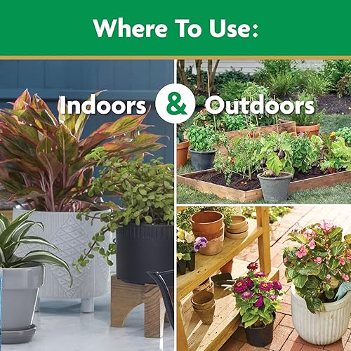 Miniatura 6 de Miracle-Gro Alimento soluble en agua para plantas multiusos, fertilizante para plantas de interior o exterior, rosas, flores, plantas