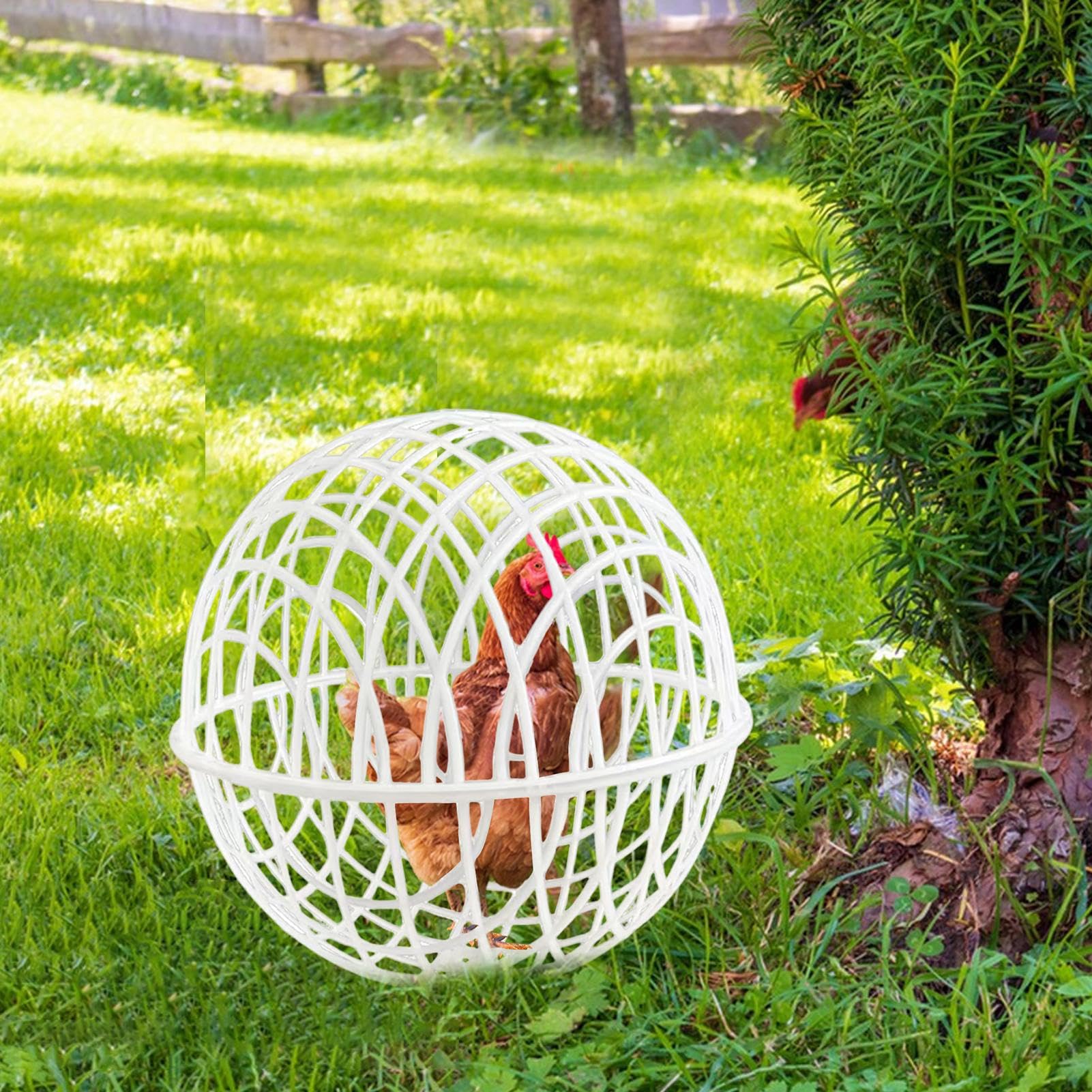 Jaula bola de seguridad para gallinas Portátil, , Red, Móvil, Aves De | 3 Piezas Jaulas Rodantes Bola Gallinero Para Paseo, Exterior, Gallinas, Palomas, Pollitos, Conejos, Aves