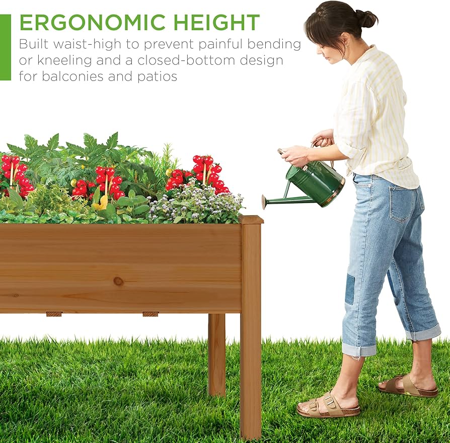 菩提樹木＋プラントボックススタンド 菩提樹木＋プラントボックス