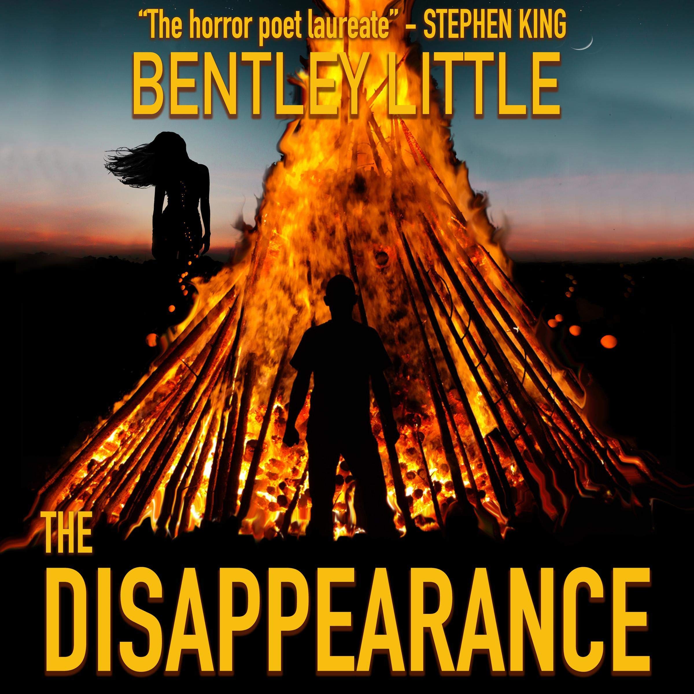 Cover art for The Disappearance