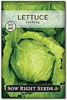 Sow Right Seeds Iceberg Lettuce Seeds - Non-GMO Heirloom for Hydroponics, Summer Fall Planting - Crisp Sweet Salad Greens