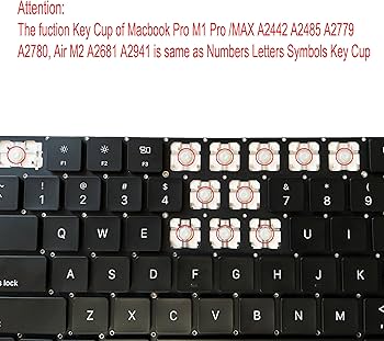 81v8IVrg-cL._AC_UF350,