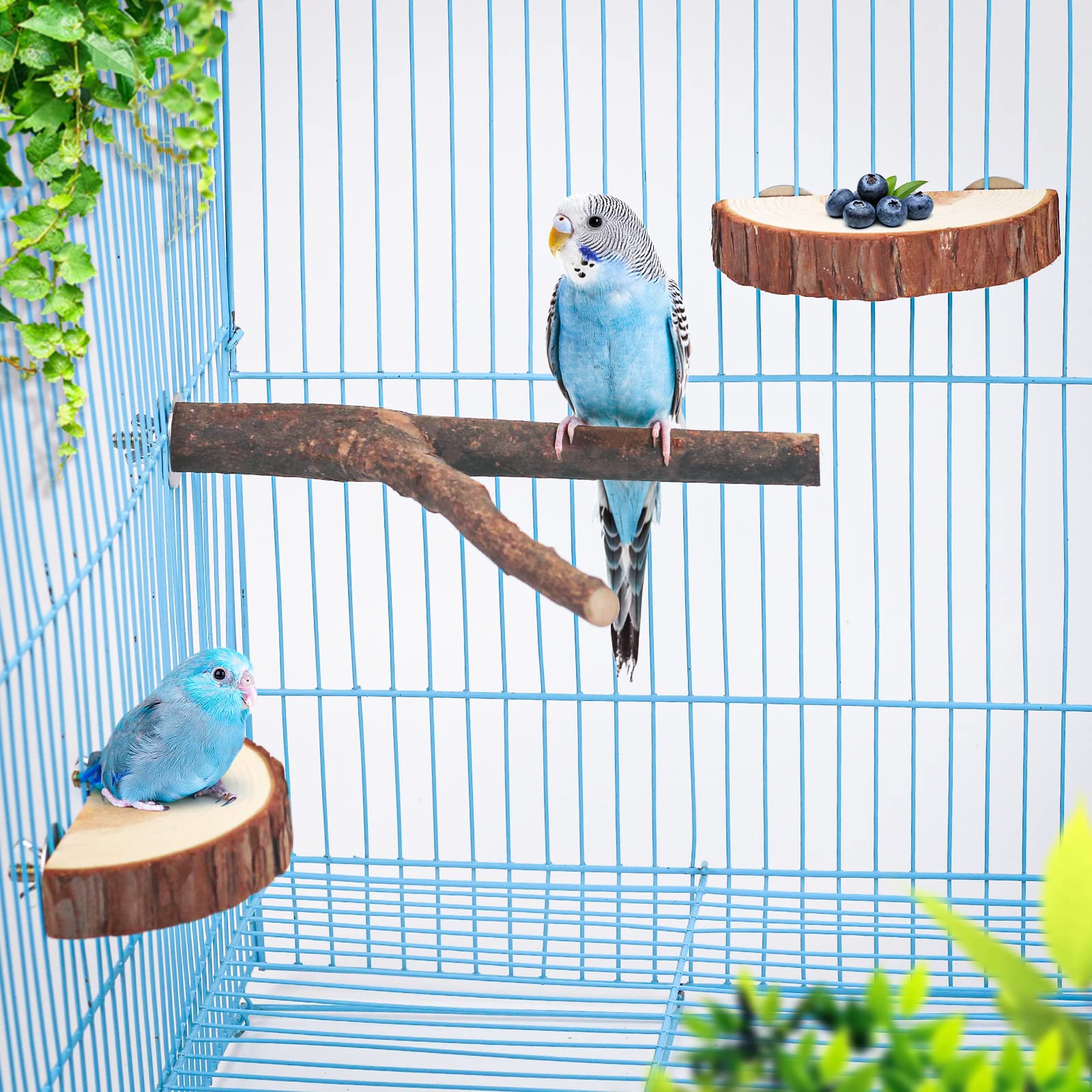 Amazon | 4点セット入り インコ 止まり木 鳥用品 パーチ 爪を研ぎ 爪を