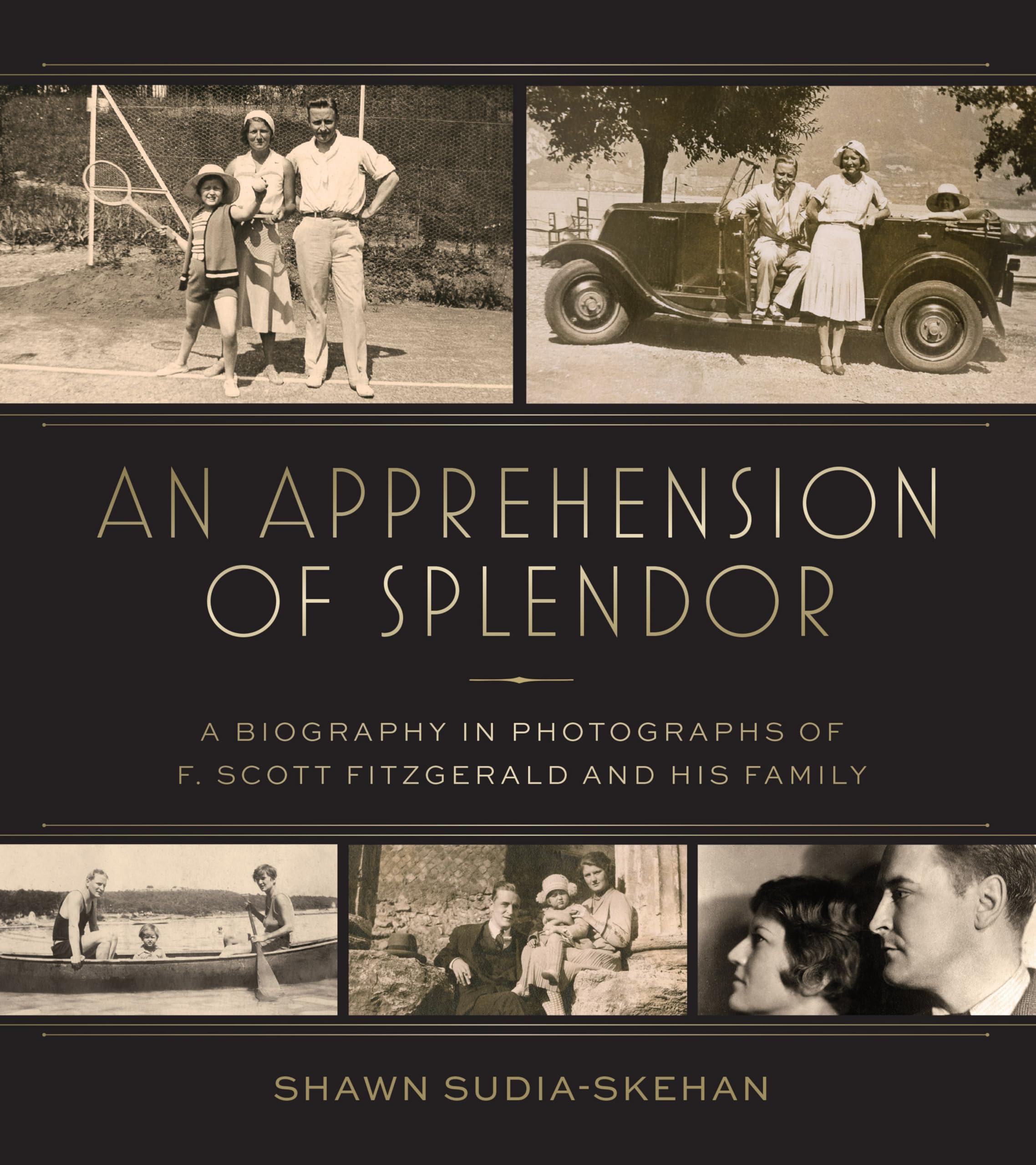 Biographie de F. Scott Fitzgerald en photos un livre d'art en anglais sur la famille de l'écrivain