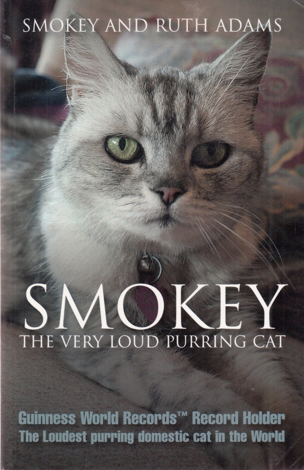Smokey the very loud Purring cat: The Loudest Purring Domestic Cat in the World