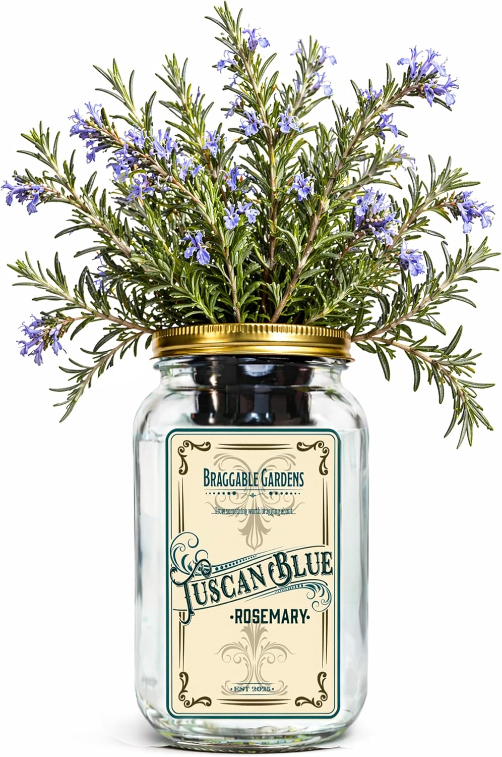 Braggable Gardens Tuscan Blue Rosemary Indoor Herb Garden Kit – Mason Jar Hydroponic Grow Kit – Countertop Windowsill Herb Planter – Self Watering Kitchen Herb Garden