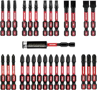 Screwdriver Bit Set with PH1/PH2/PH3/SQ2/T20/T25/SL8/SL10 and 1Pcs Impact Bit Holder, 30Pack Bulk Impact Rate Insert Driver Bit Set