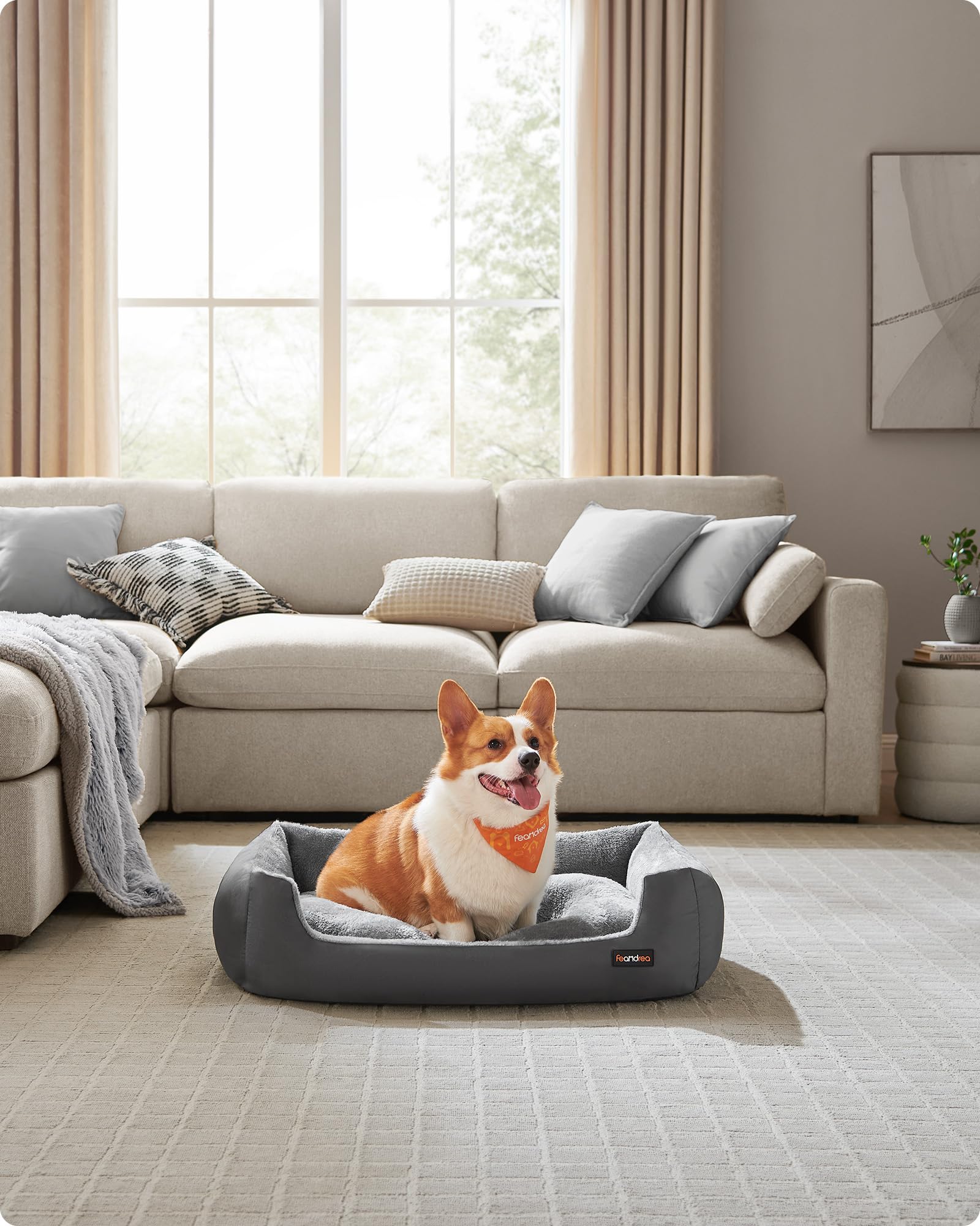 Feandrea Cuccia Cane Interno, Cuccia per Cani e Animale Domestico, Tappeto Rimovibile e Reversibile, Bordi Rialzati, Fondo Antiscivolo, L, 85 x 65 x 21 cm, Grigio Ardesia e Grigio Tortora PGW004G02