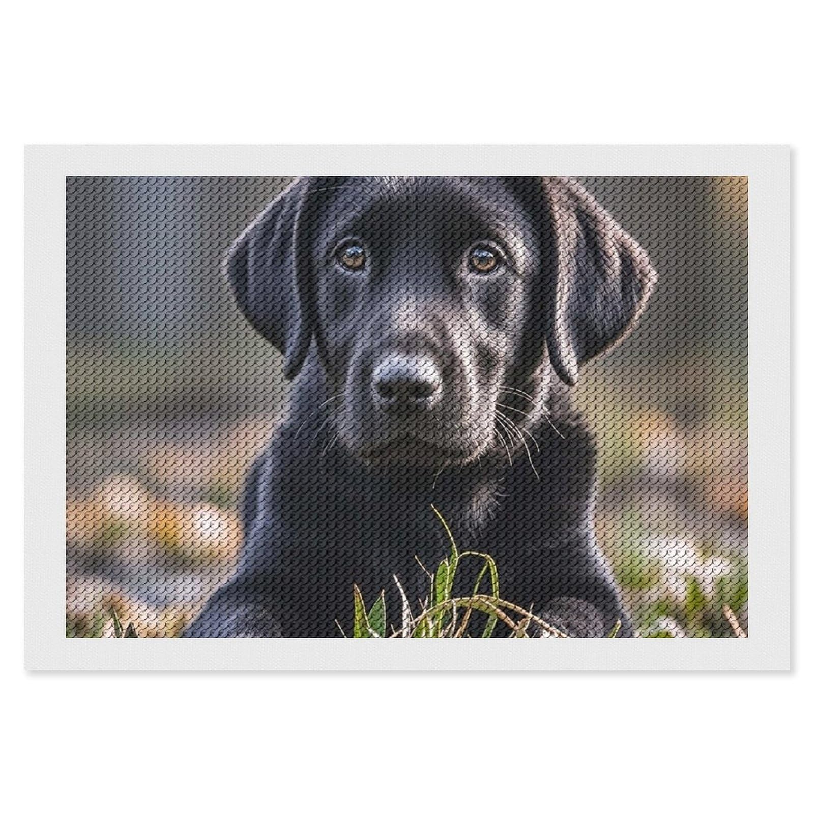 EKYOSHCZ Diamond Painting Kits for Adults DIY Full Drill Diamond Art Kits for Beginners Black Labrador Puppy Round Drill Paint with Diamond Pictures Gem Art for Home Wall Decor 8"x12"